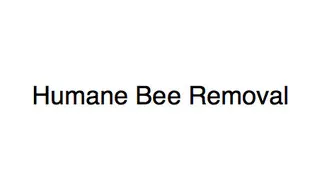 Humane Bee Removal logo