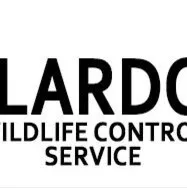 Ilardo Wildlife Control Service - Pest Control Services in Lackawanna, NY