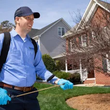 Insight pest Solutions logo
