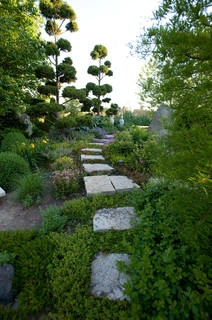 InSite Landscape Design logo