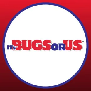It's Bugs Or Us, LLC - Pest Control Services in Balch Springs, TX