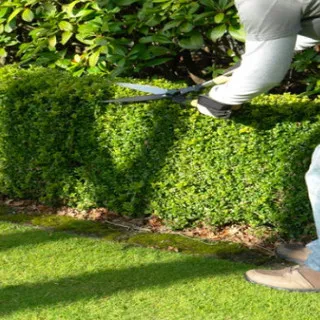 J.Allums Lawncare logo