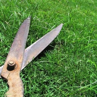 JP Landscape and Lawn Care logo