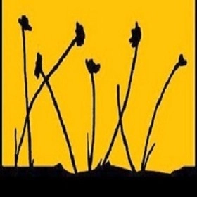 Kevin Wood Landscapes logo