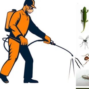 King Pest Control Service logo