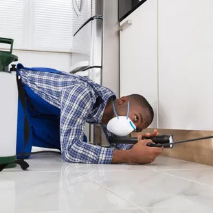 Knock Out Pest Control LLC logo