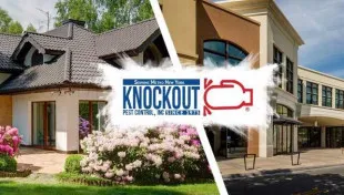 Knockout Pest Control logo