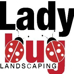 Ladybug Landscaping logo
