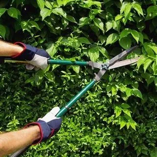 Landscape Gardening LLC logo