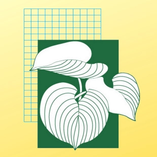 Landscape Images Ltd logo