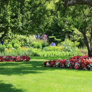 Landscaping Texas - Landscape Design in Channing, TX