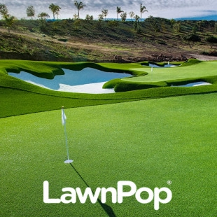 LawnPop Artificial Turf logo