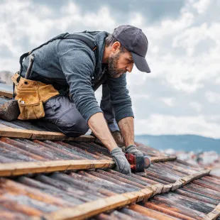 Leo's Roofing & Gutters logo