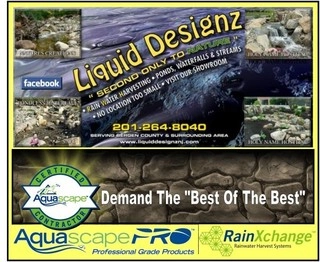 Liquid Designz LLC logo