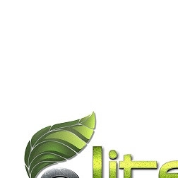 Lite Outdoor logo