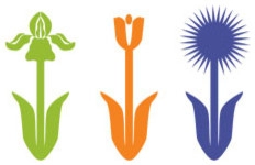 Little Miracles Designs logo