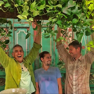 Living Green Design logo