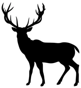 Living Stone Construction Co. logo