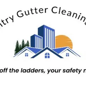 LowCountry Gutter Cleaning Pros logo