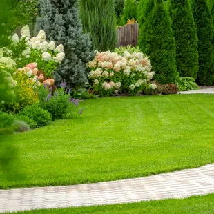 Madrigal's Landscaping logo