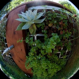 Madrono Landscape Design Studio, Inc. logo