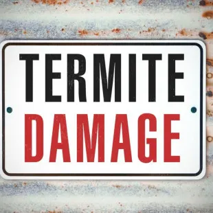 Magnolia State Termite Experts logo