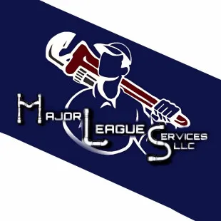 Major League Services LLC logo