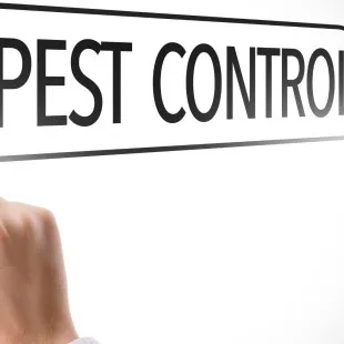 Marble Termite Removal logo