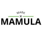 Mark Mamula Construction logo