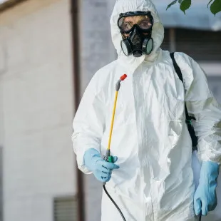 Martha Termite Removal Experts logo