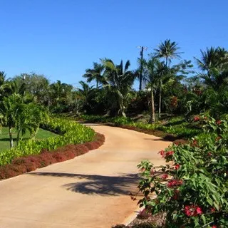 Mauiscapes logo