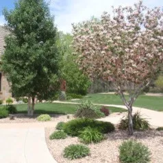 MB Landscaping LLC logo