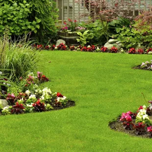 Medrano's Landscape LLC logo