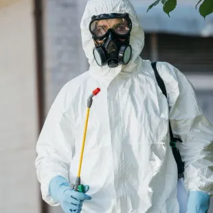Mizzou Termite Removal Experts logo