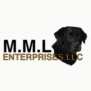 MML Enterprises, LLC logo