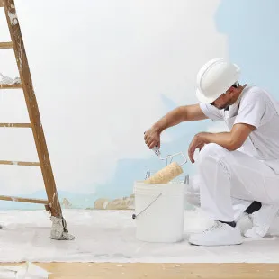 Moe's Painting Plus logo