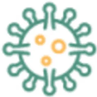 Mold Removal Kansascity logo