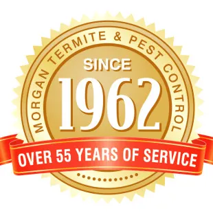Morgan Termite and Pest Control logo
