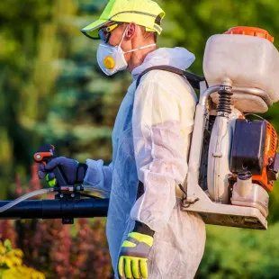 Mountain State Termite Removal logo