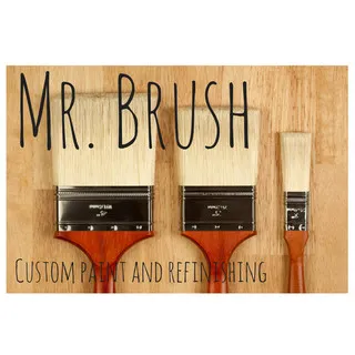 Mr. Brush, LLC logo