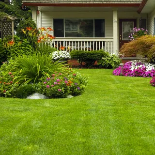 MS Landscape Construction LLC logo