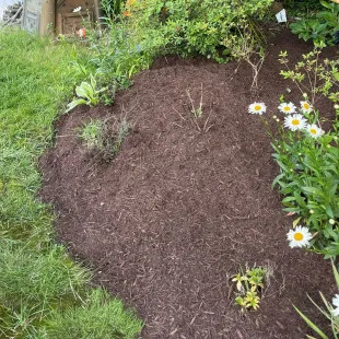 Mulch Masters - Patio Design & Installation in Gloucester Point, VA
