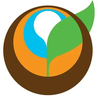 Natural Energy Solutions logo