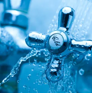 Nelson Plumbing Inc. logo