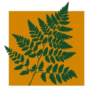 Nesbit Landscape logo