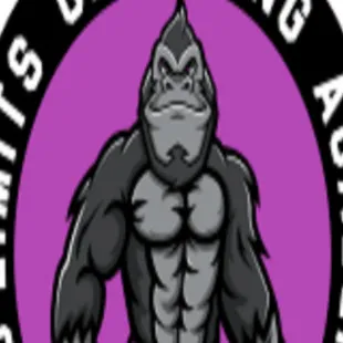 No Limits Grappling Academy logo