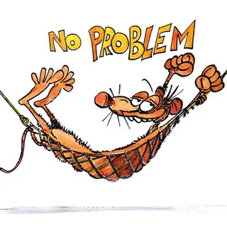 No Problem Service Company logo