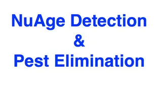 Nuage Detection, LLC logo