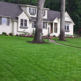 Nulawn Landscape & Irrigation logo
