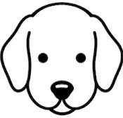 OBI Outfitters logo